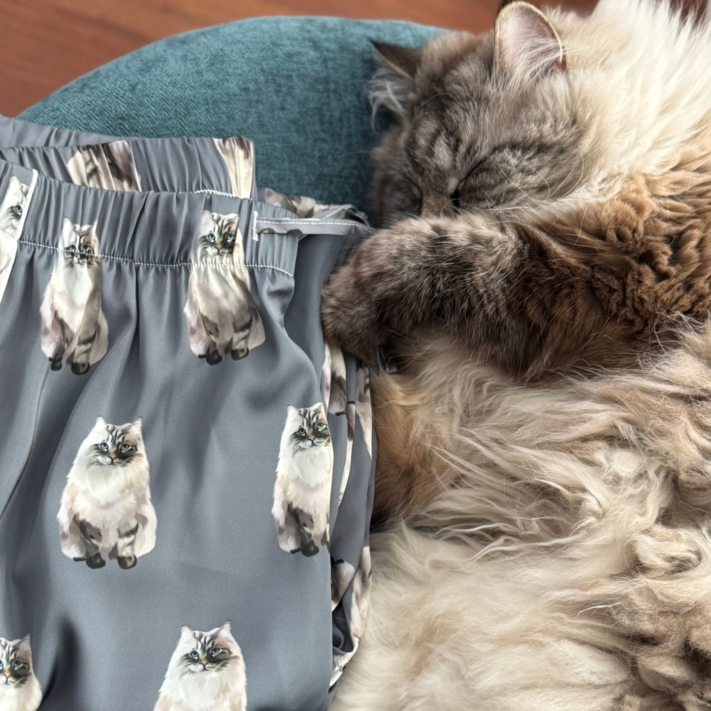 Custom Pet Portrait Pajama Pants - NEW!