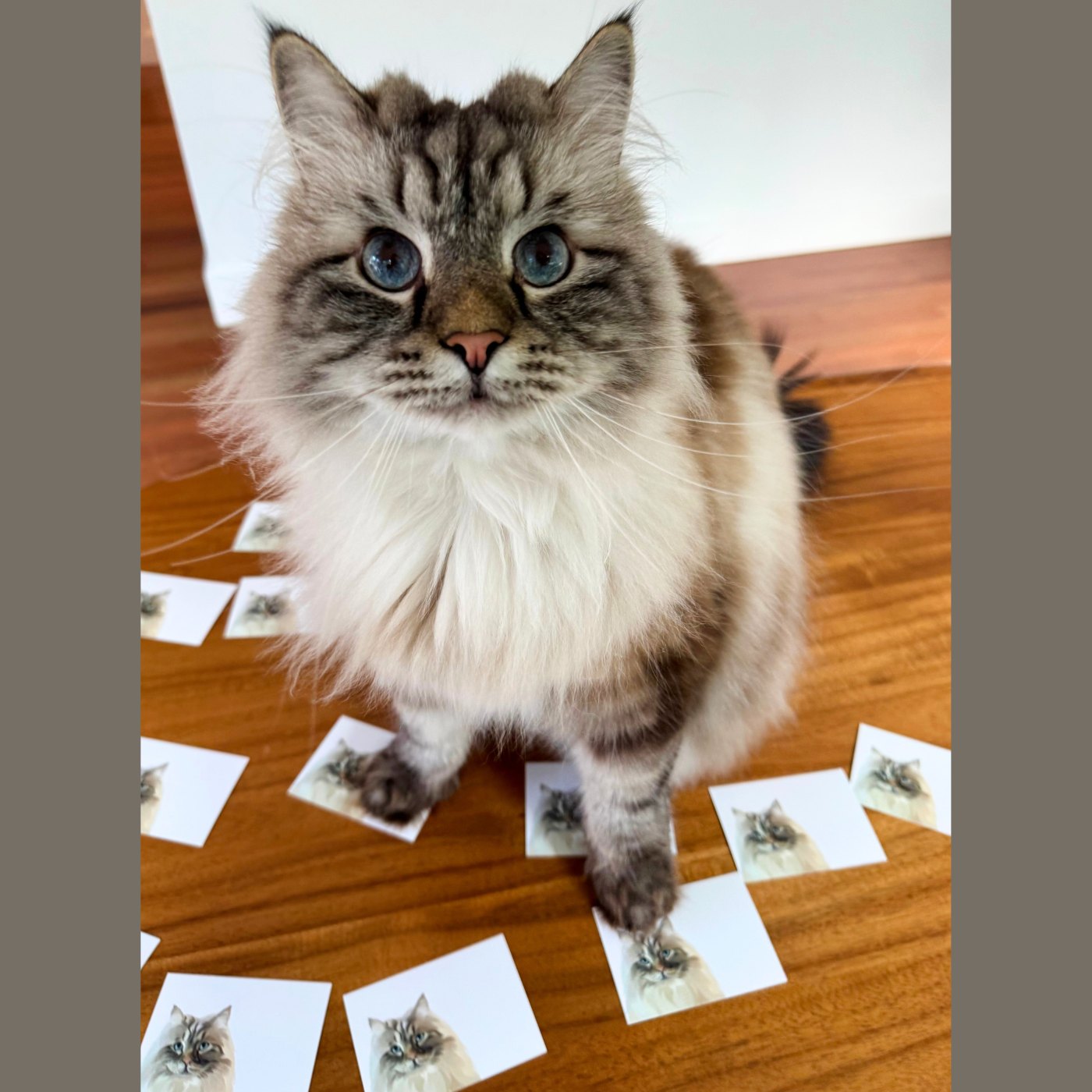 Custom Pet Portrait Mini Note Cards