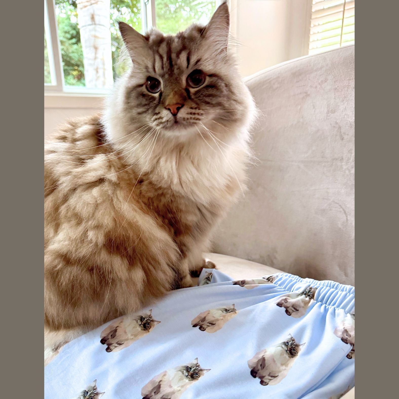 Custom Pet Portrait Pajama Pants - NEW!