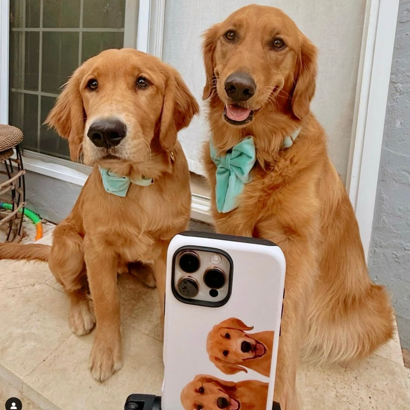 Custom Pet Portrait iPhone Case - Polka Dots - NEW!