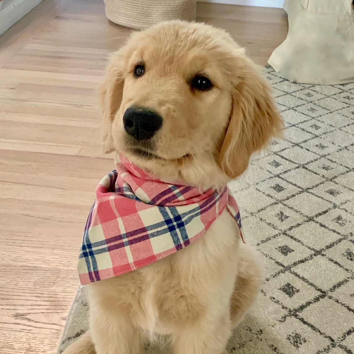 Dog Bandanas - Plaid Flannel