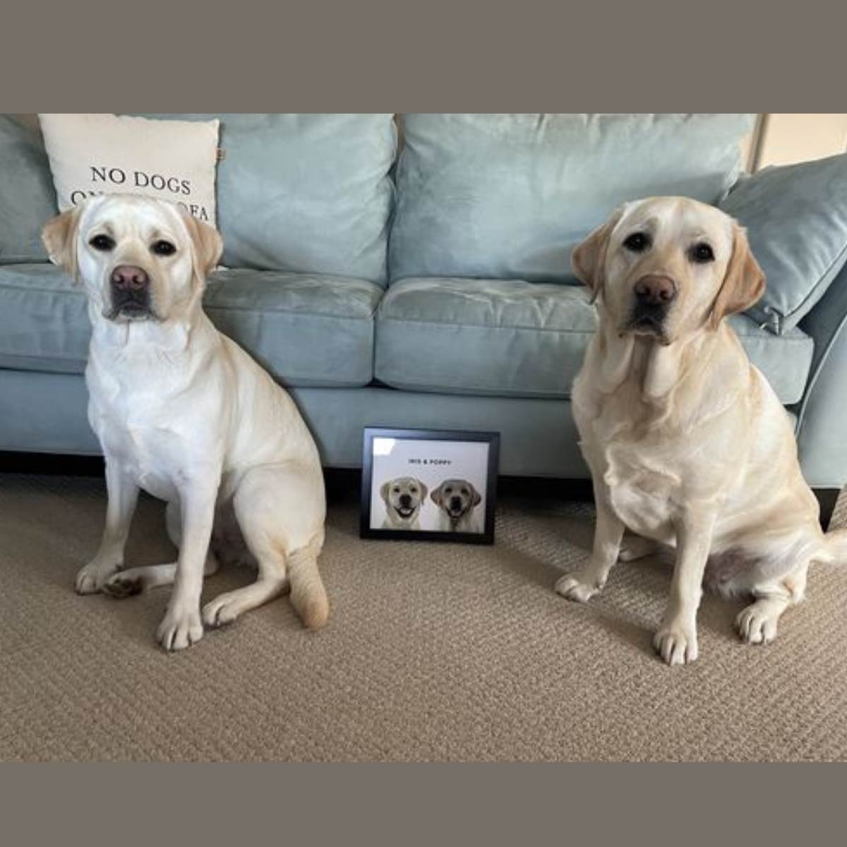 Custom Pet Portrait - Three Pets (Framed)