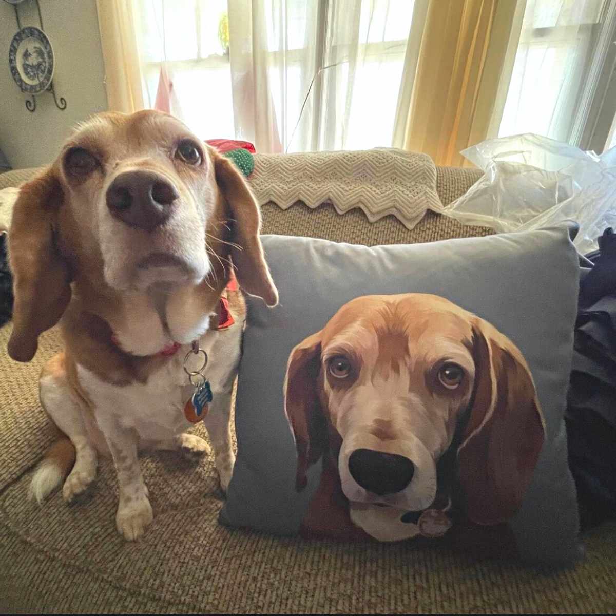 Custom Pet Portrait Pillow - Two Sizes