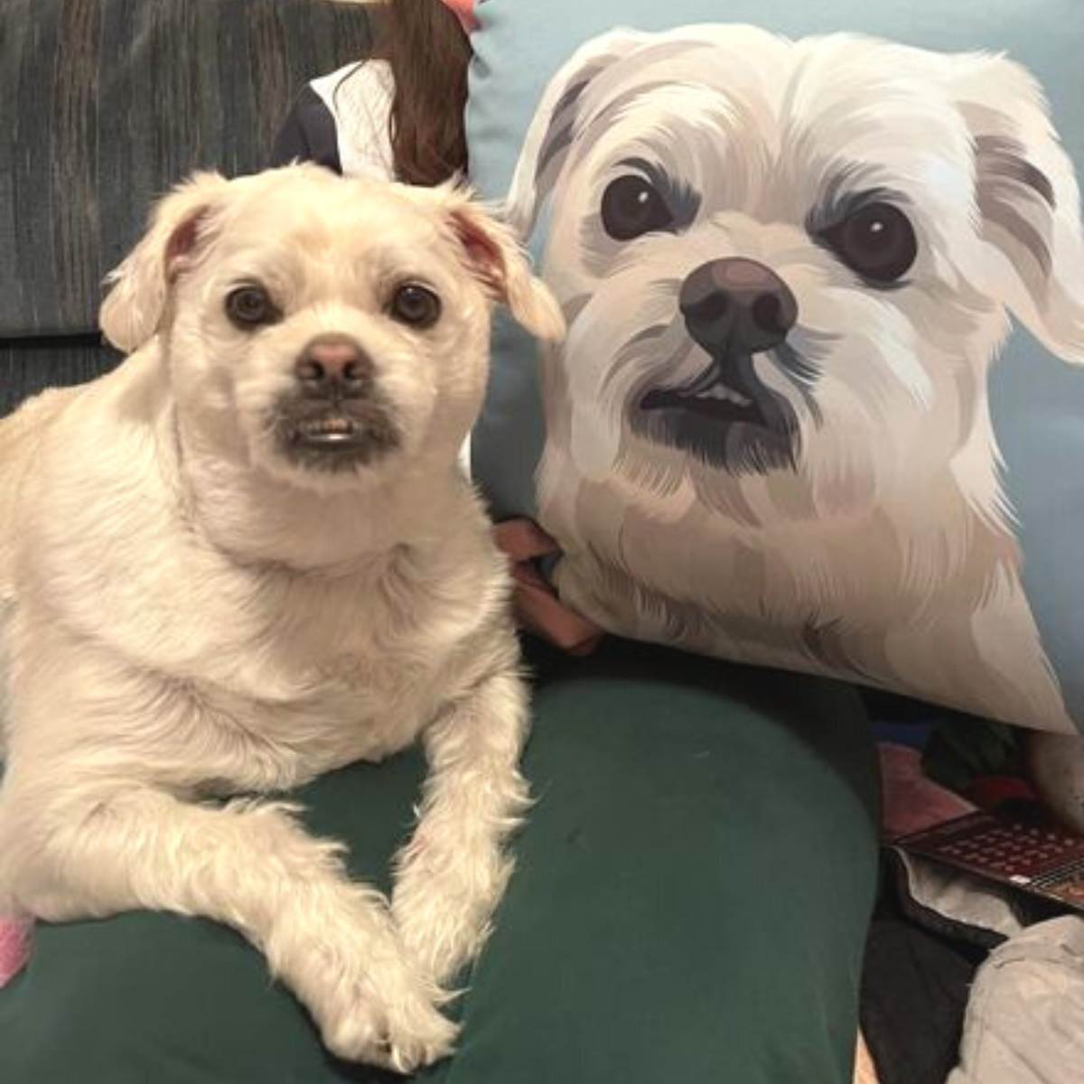 Custom Pet Portrait Pillow - Two Sizes