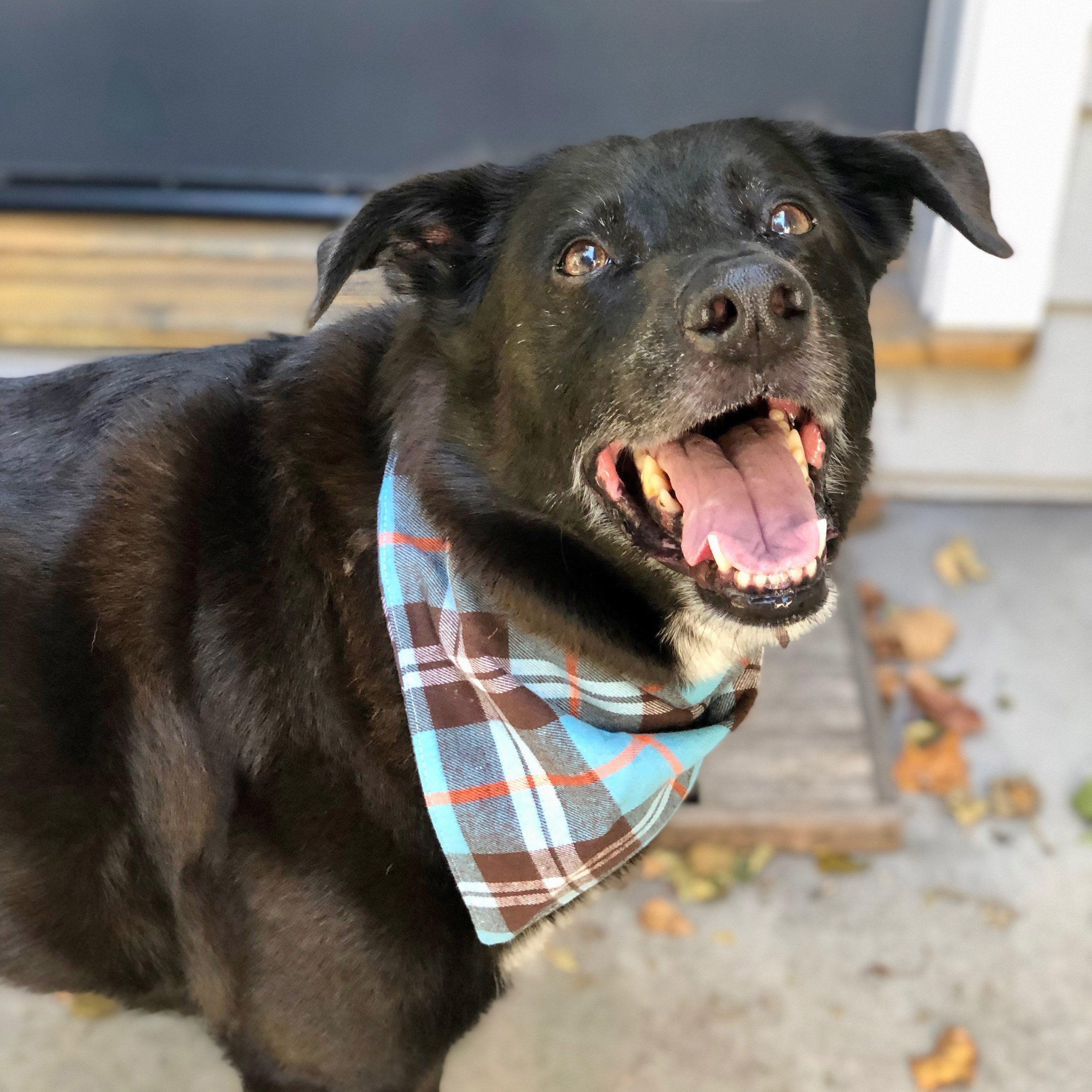 Dog Bandanas - Plaid Flannel