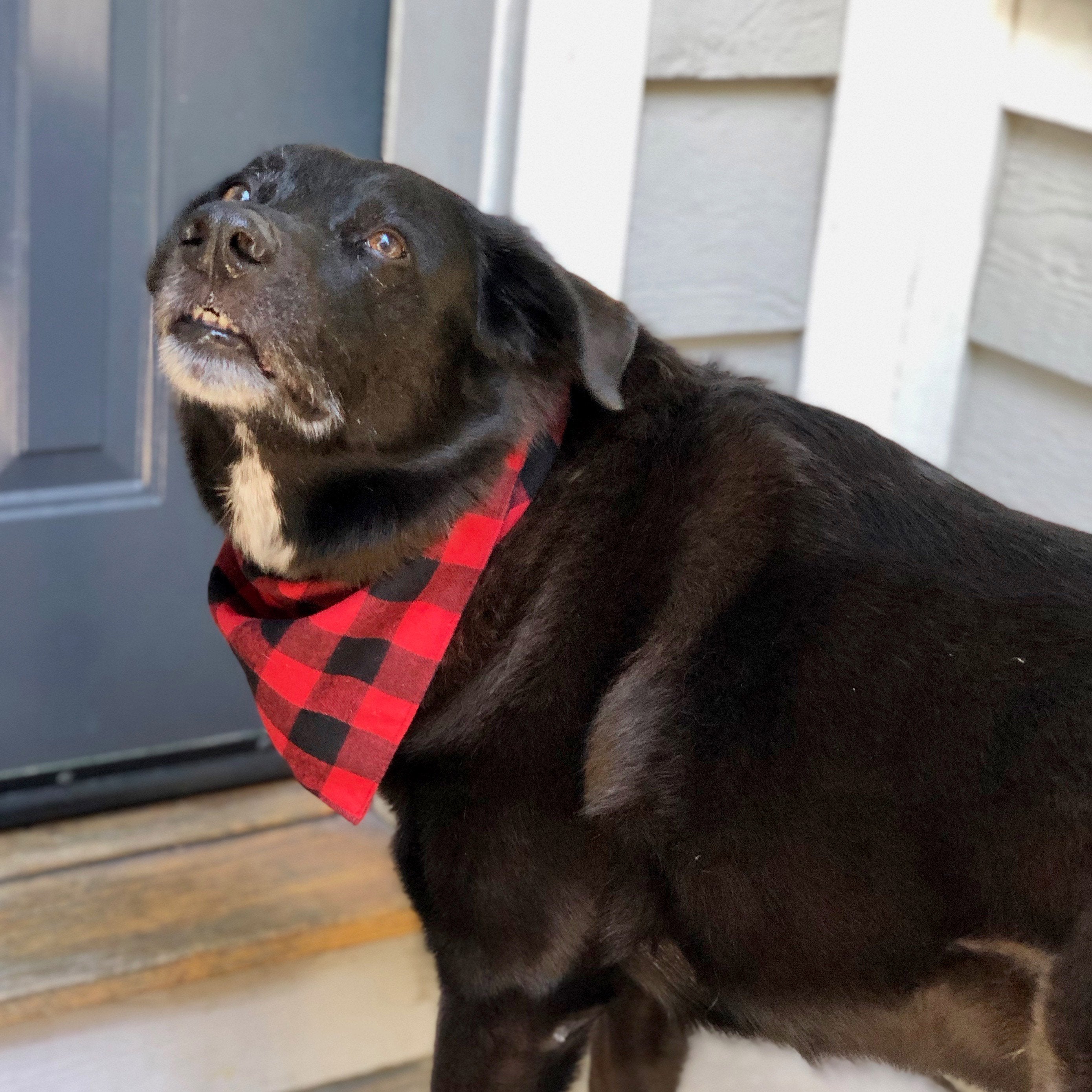 Dog Bandanas - Buffalo Checked Flannel