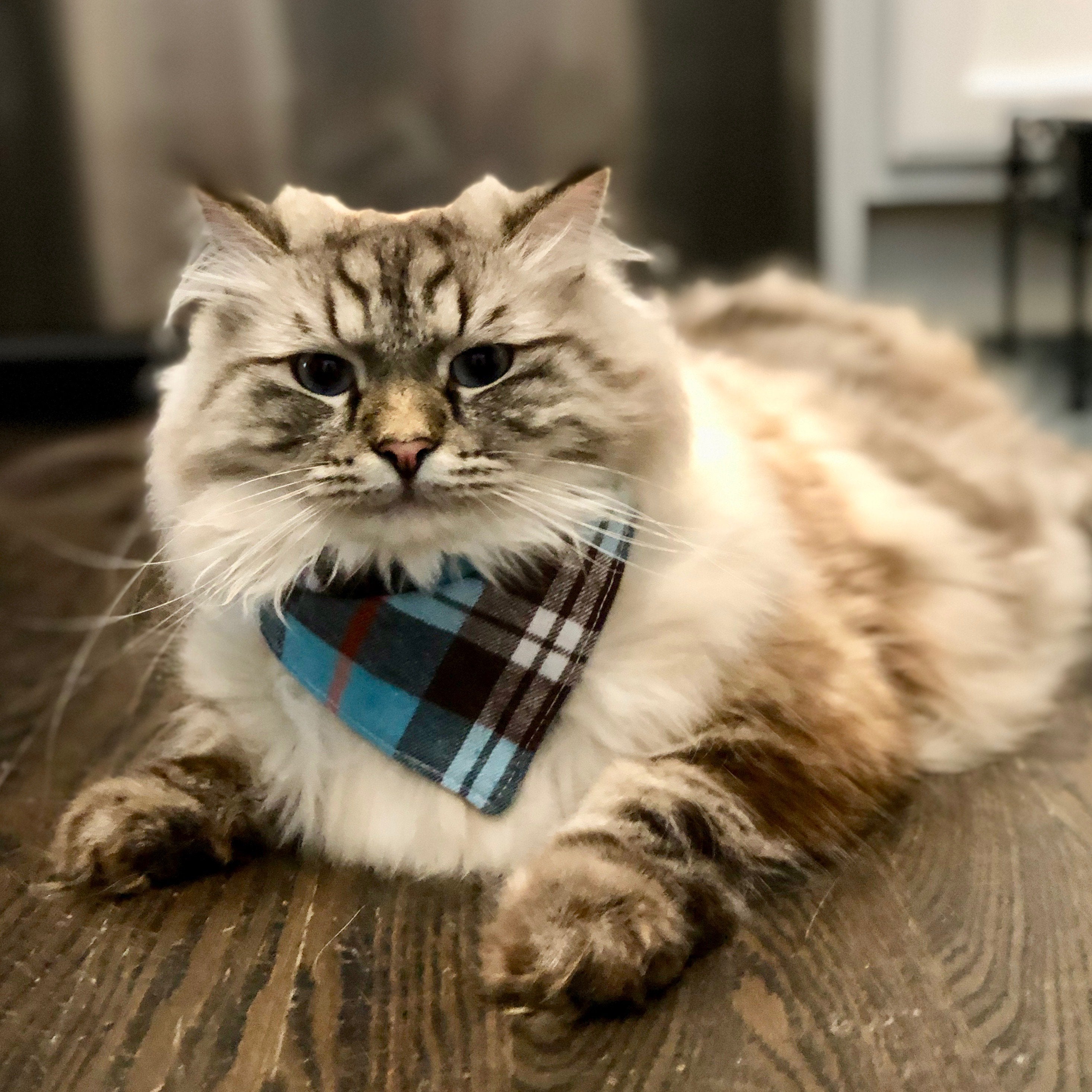 Dog Bandanas - Plaid Flannel