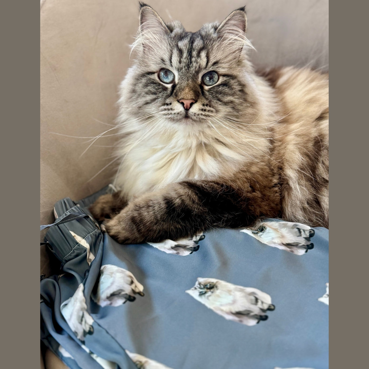 Custom Pet Portrait Pajama Pants - NEW!