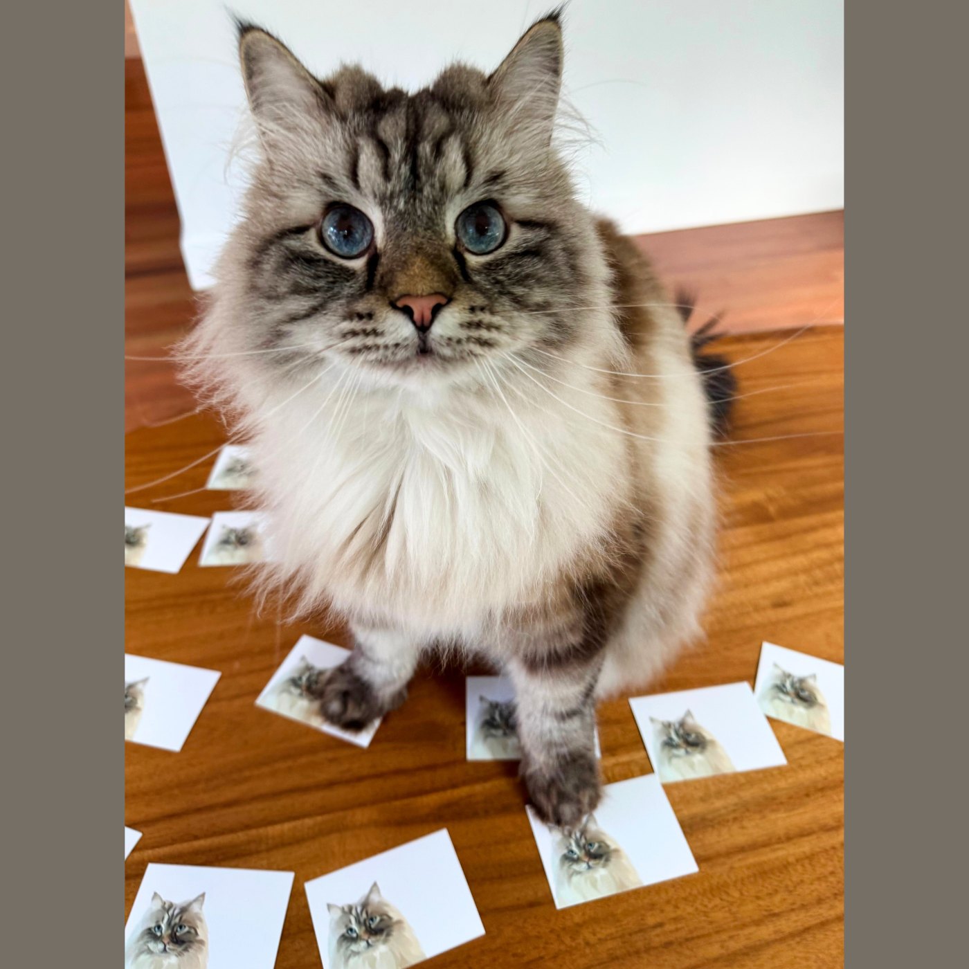 Custom Pet Portrait Mini Note Cards - NEW!