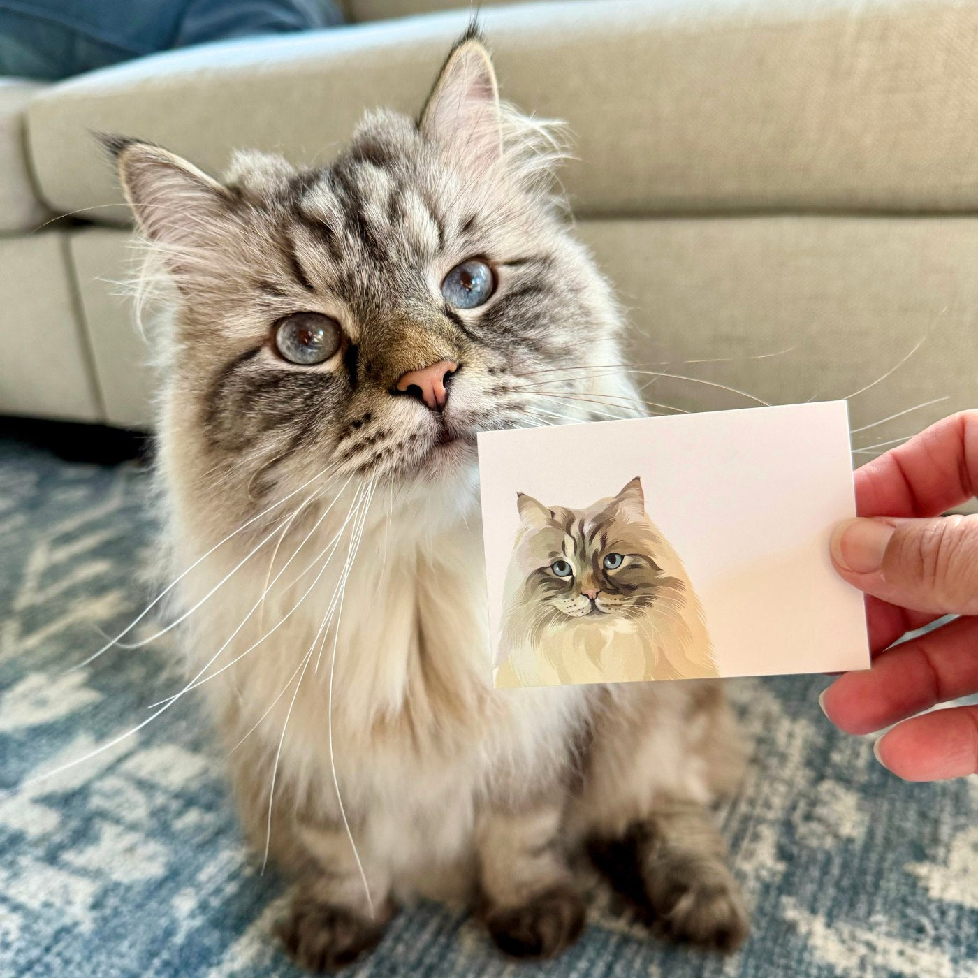 Custom Pet Portrait Mini Note Cards - NEW!