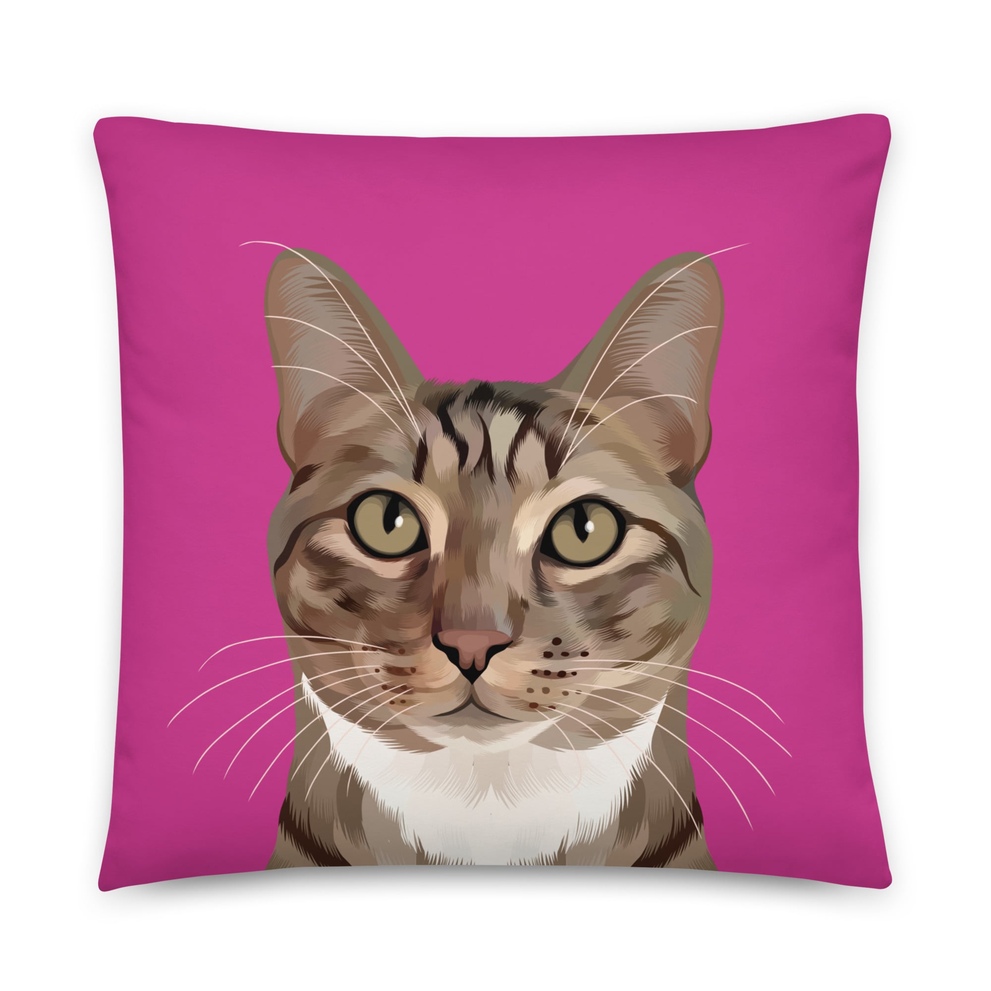 Cat on a pillow best sale