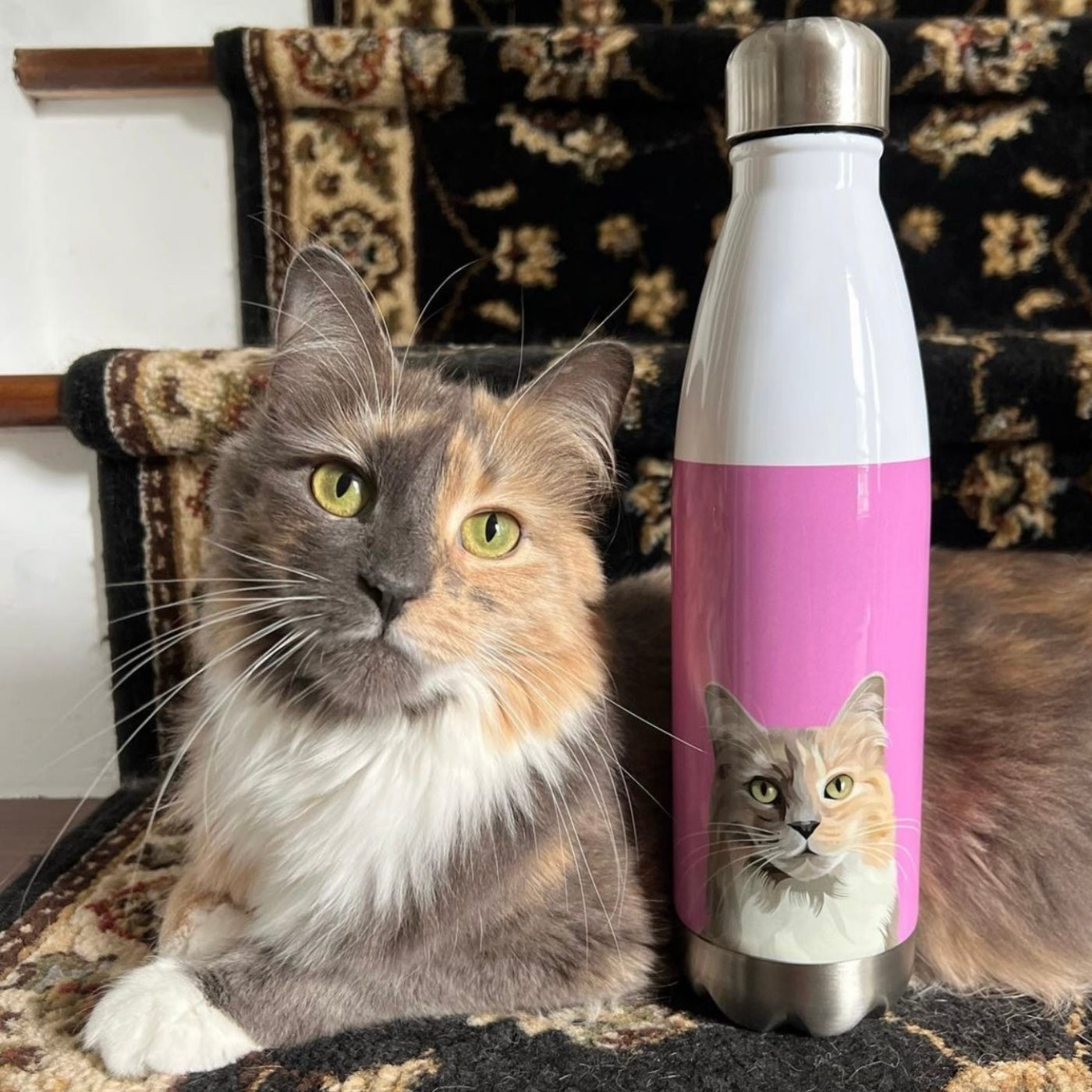 Cat drink outlet bottle