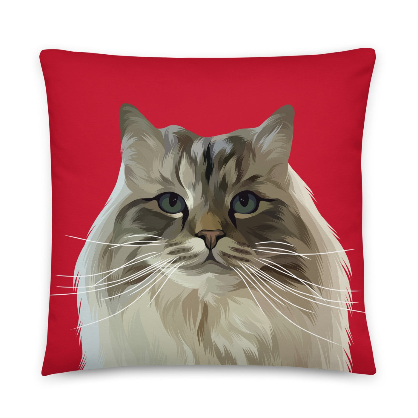 Pet photo outlet on pillow