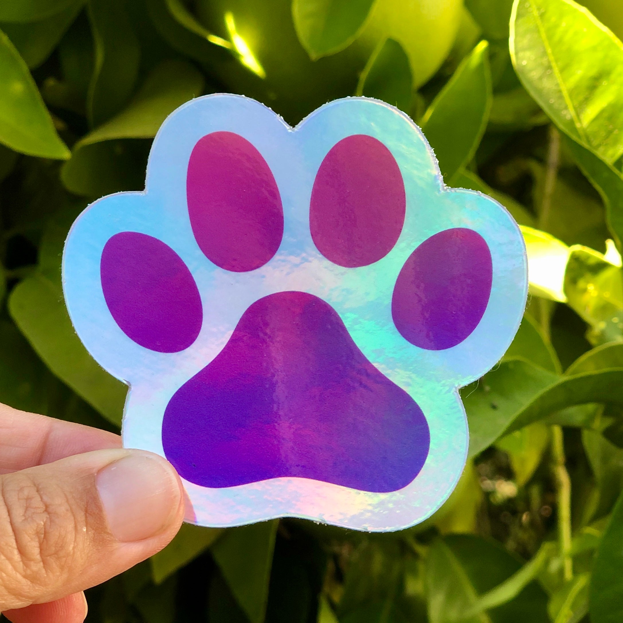 Dog Paw Holographic Sticker | Vinyl Die-Cut Sticker for Dog Lovers