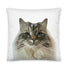 Custom Pet Portrait Pillow - Two Sizes