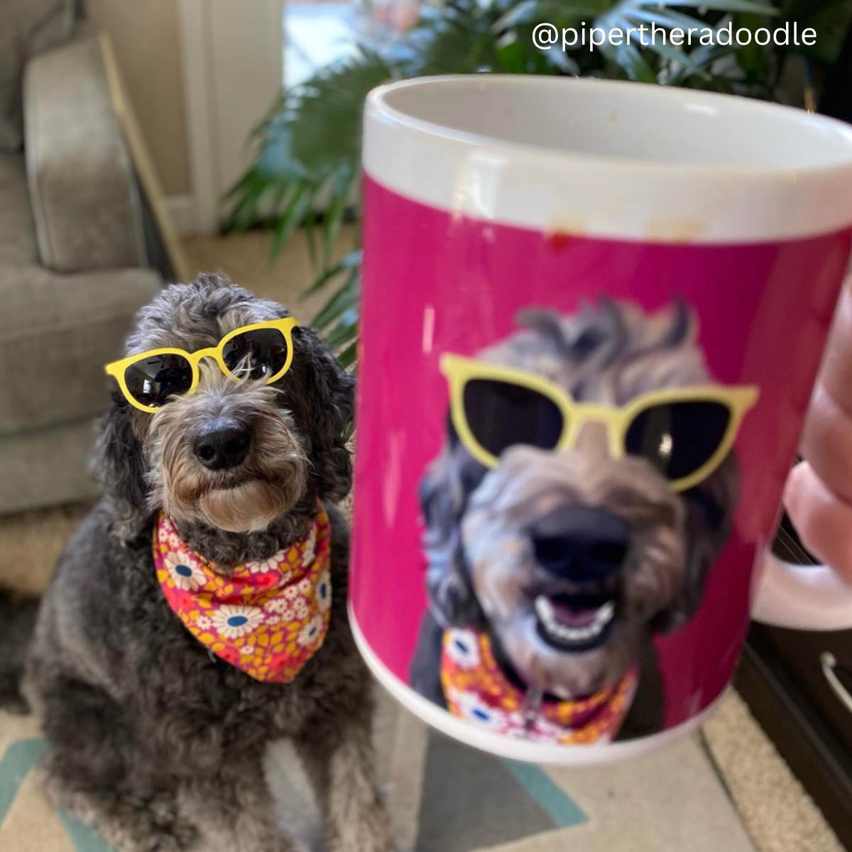 Custom shop dog mug