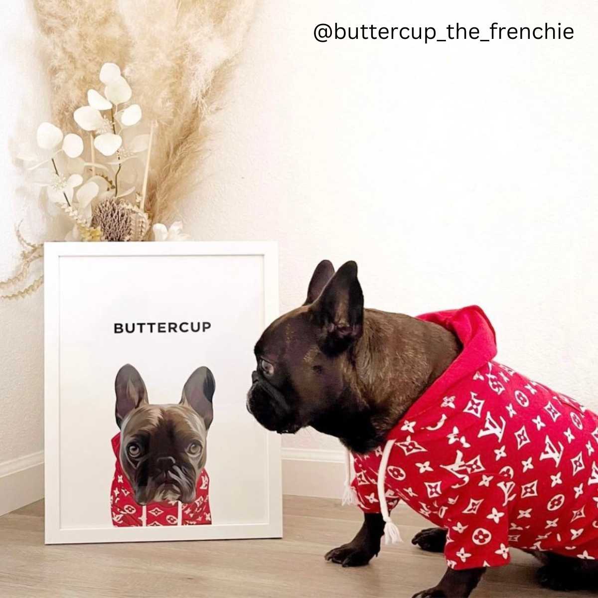 Supreme x louis vuitton dog hoodie deals