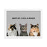 Custom Pet Portrait - Three Pets (Framed)