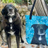 Custom Pet Portrait Tote Bag and Matching Dog Bandana - Floral